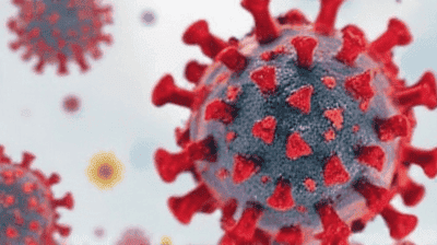 The Science of Allergies: Why Do Some Bodies Overreact to Harmless Substances?